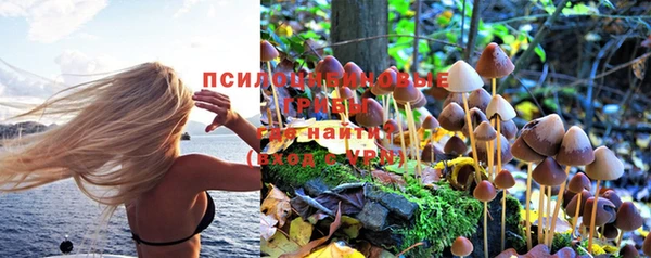 дживик Балабаново