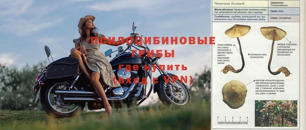 амф Баксан